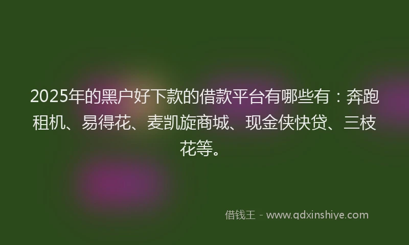 2025年的黑户好下款的借款平台有哪些有：奔跑租机、易得花、麦凯旋商城、现金侠快贷、三枝花等。