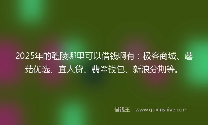 2025年的醴陵哪里可以借钱啊有：极客商城、蘑菇优选、宜人贷、翡翠钱包、新浪分期等。