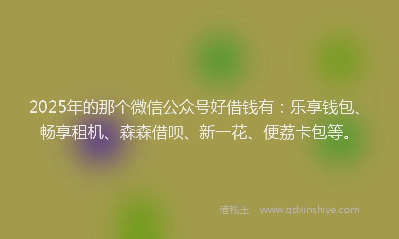 2025年的那个微信公众号好借钱有：乐享钱包、畅享租机、森森借呗、新一花、便荔卡包等。