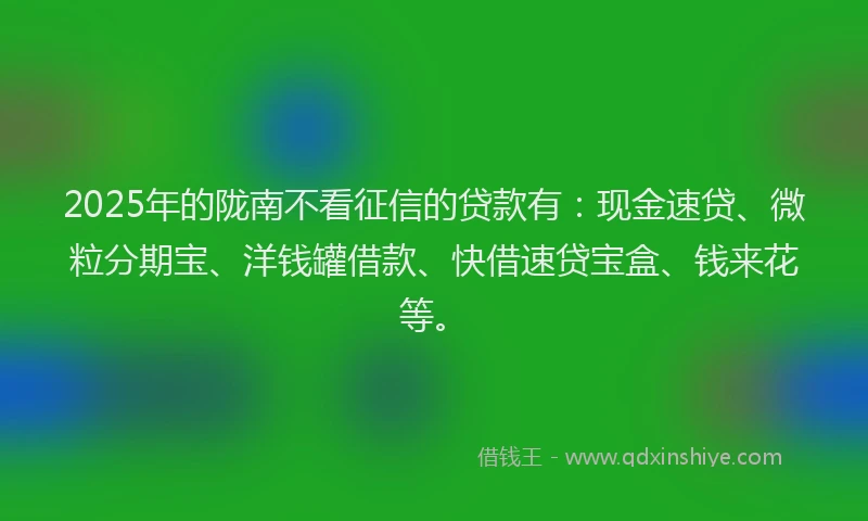 2025年的陇南不看征信的贷款有：现金速贷、微粒分期宝、洋钱罐借款、快借速贷宝盒、钱来花等。