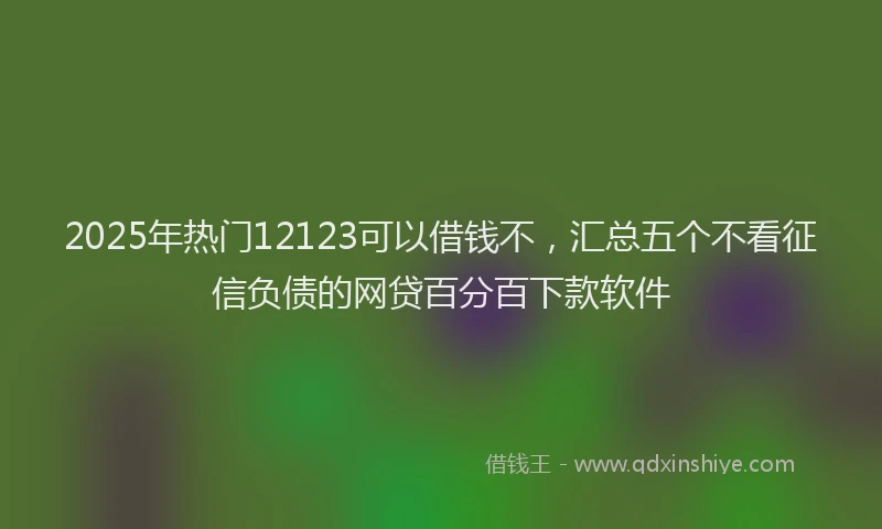 2025年热门12123可以借钱不，汇总五个不看征信负债的网贷百分百下款软件