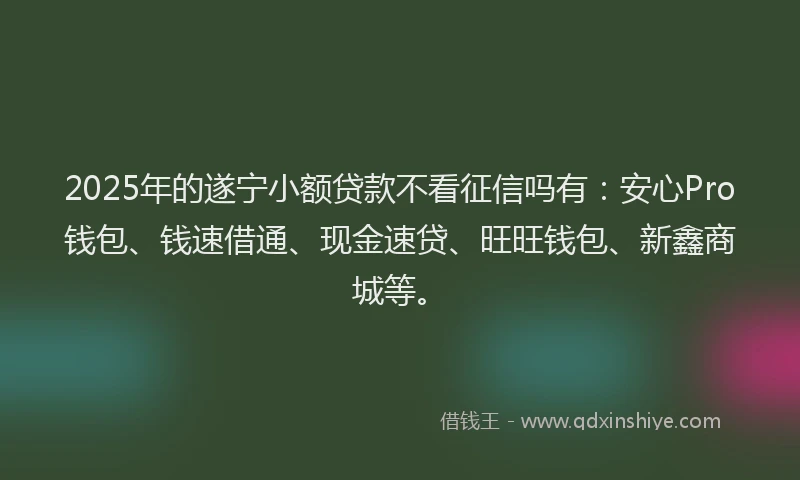 2025年的遂宁小额贷款不看征信吗有：安心Pro钱包、钱速借通、现金速贷、旺旺钱包、新鑫商城等。