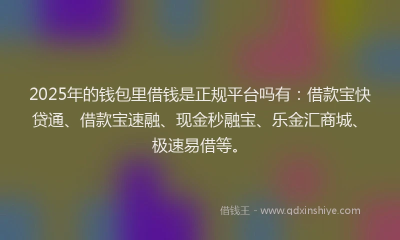 2025年的钱包里借钱是正规平台吗有：借款宝快贷通、借款宝速融、现金秒融宝、乐金汇商城、极速易借等。