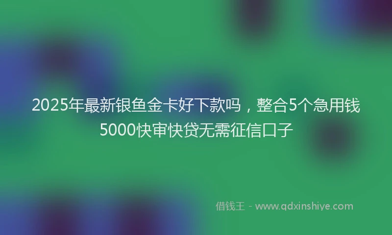 2025年最新银鱼金卡好下款吗，整合5个急用钱5000快审快贷无需征信口子