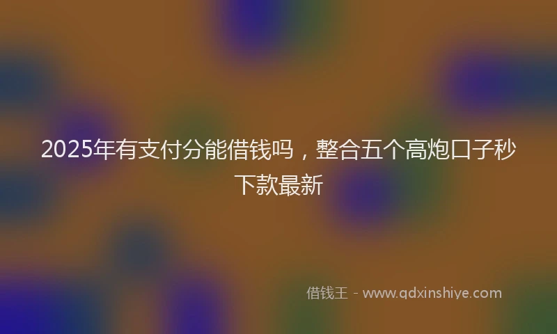 2025年有支付分能借钱吗，整合五个高炮口子秒下款最新