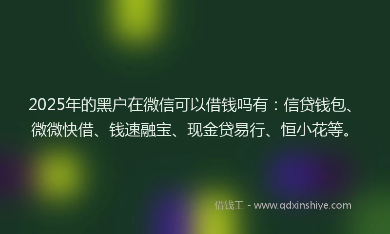 2025年的黑户在微信可以借钱吗有：信贷钱包、微微快借、钱速融宝、现金贷易行、恒小花等。