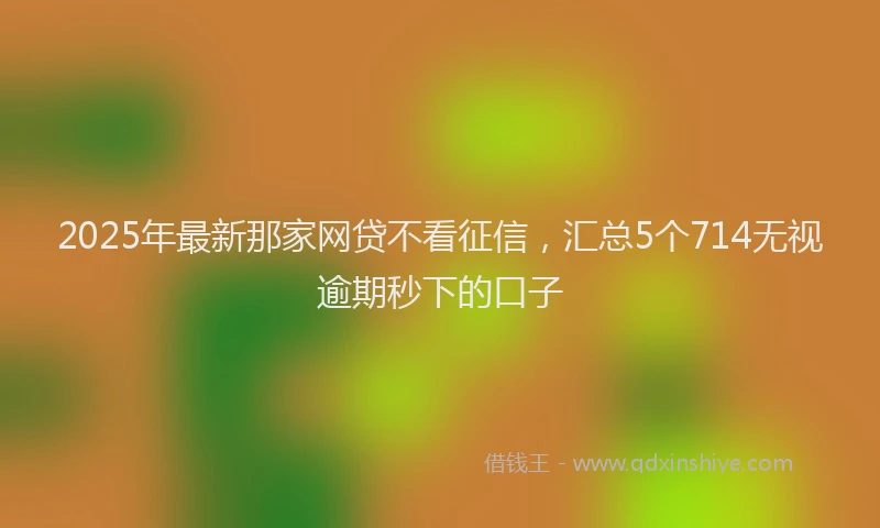 2025年最新那家网贷不看征信，汇总5个714无视逾期秒下的口子