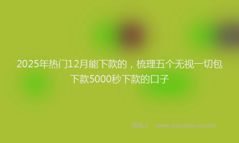 2025年热门12月能下款的，梳理五个无视一切包下款5000秒下款的口子
