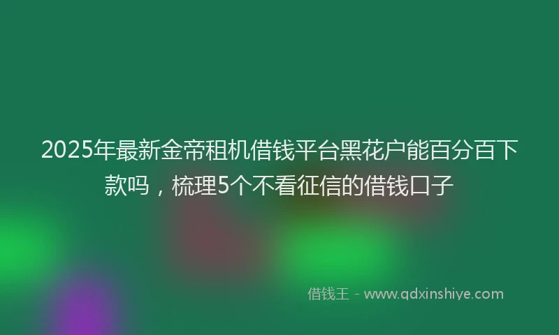 2025年最新金帝租机借钱平台黑花户能百分百下款吗，梳理5个不看征信的借钱口子