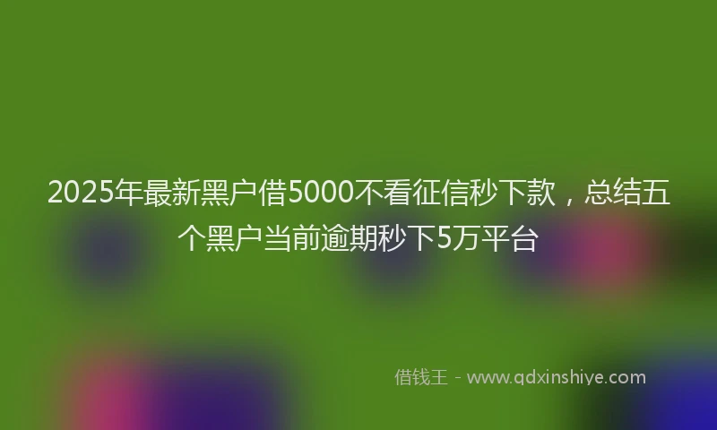 2025年最新黑户借5000不看征信秒下款，总结五个黑户当前逾期秒下5万平台