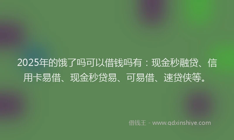 2025年的饿了吗可以借钱吗有：现金秒融贷、信用卡易借、现金秒贷易、可易借、速贷侠等。