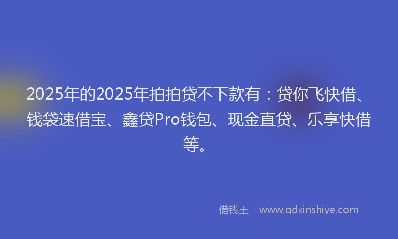 2025年的2025年拍拍贷不下款有：贷你飞快借、钱袋速借宝、鑫贷Pro钱包、现金直贷、乐享快借等。