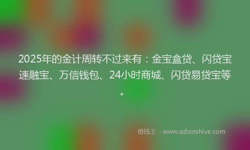 2025年的金计周转不过来有：金宝盒贷、闪贷宝速融宝、万信钱包、24小时商城、闪贷易贷宝等。