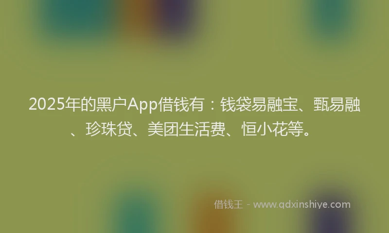 2025年的黑户App借钱有：钱袋易融宝、甄易融、珍珠贷、美团生活费、恒小花等。