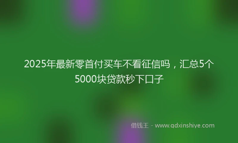 2025年最新零首付买车不看征信吗，汇总5个5000块贷款秒下口子