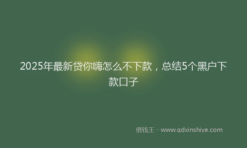 2025年最新贷你嗨怎么不下款，总结5个黑户下款口子