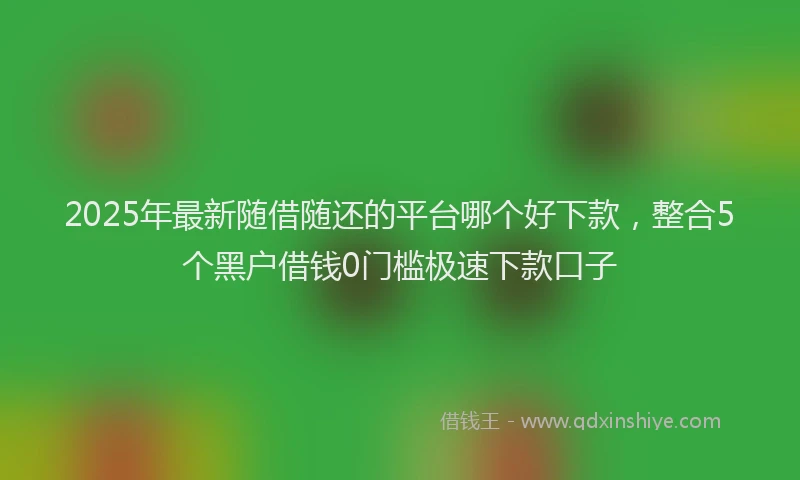 2025年最新随借随还的平台哪个好下款，整合5个黑户借钱0门槛极速下款口子