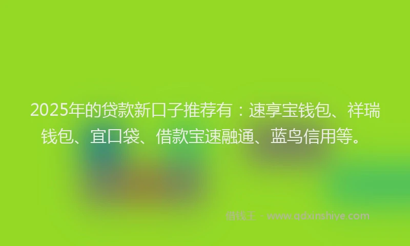 2025年的贷款新口子推荐有：速享宝钱包、祥瑞钱包、宜口袋、借款宝速融通、蓝鸟信用等。