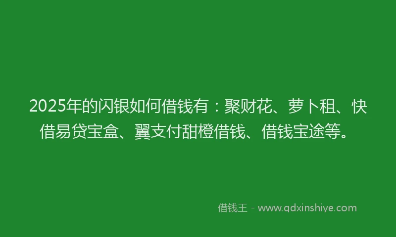 2025年的闪银如何借钱有：聚财花、萝卜租、快借易贷宝盒、翼支付甜橙借钱、借钱宝途等。