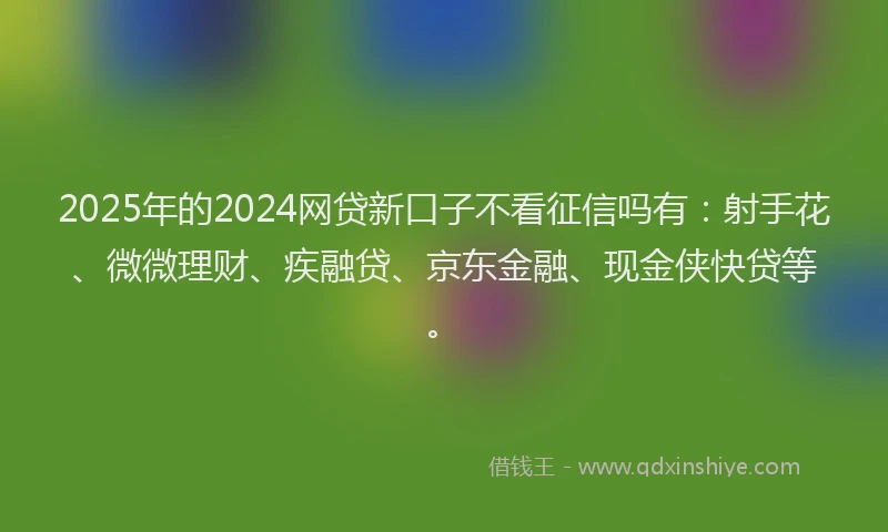 2025年的2024网贷新口子不看征信吗有：射手花、微微理财、疾融贷、京东金融、现金侠快贷等。