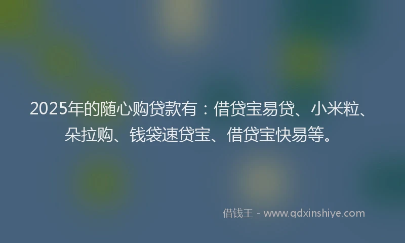 2025年的随心购贷款有：借贷宝易贷、小米粒、朵拉购、钱袋速贷宝、借贷宝快易等。