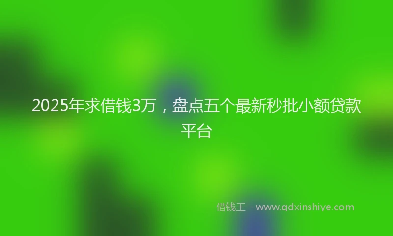 2025年求借钱3万，盘点五个最新秒批小额贷款平台