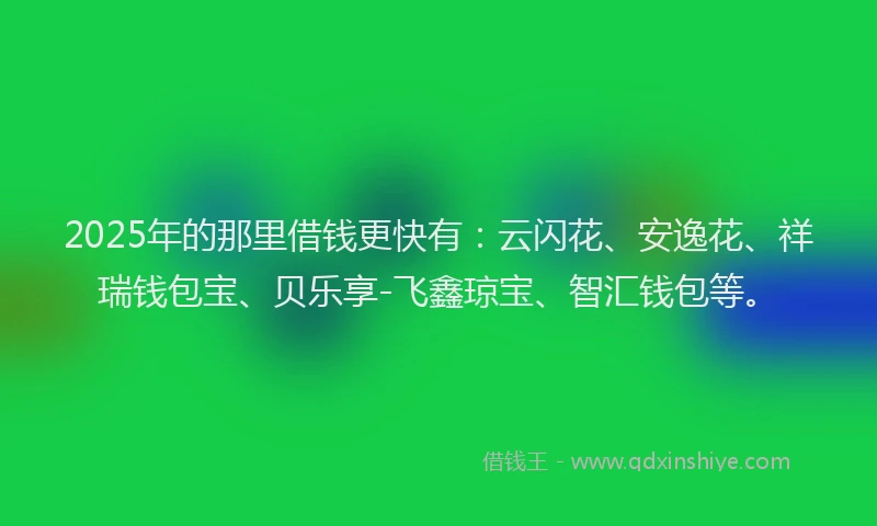 2025年的那里借钱更快有：云闪花、安逸花、祥瑞钱包宝、贝乐享-飞鑫琼宝、智汇钱包等。