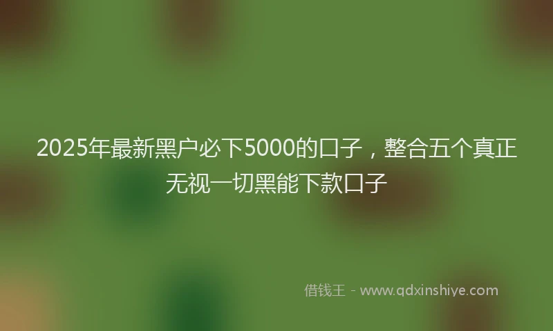 2025年最新黑户必下5000的口子，整合五个真正无视一切黑能下款口子