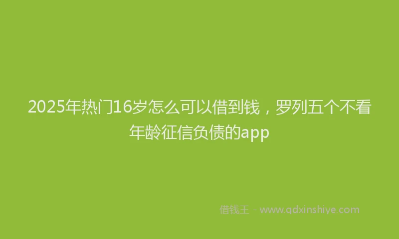 2025年热门16岁怎么可以借到钱，罗列五个不看年龄征信负债的app