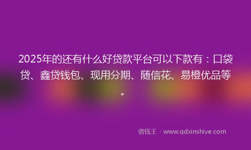 2025年的还有什么好贷款平台可以下款有：口袋贷、鑫贷钱包、现用分期、随信花、易橙优品等。
