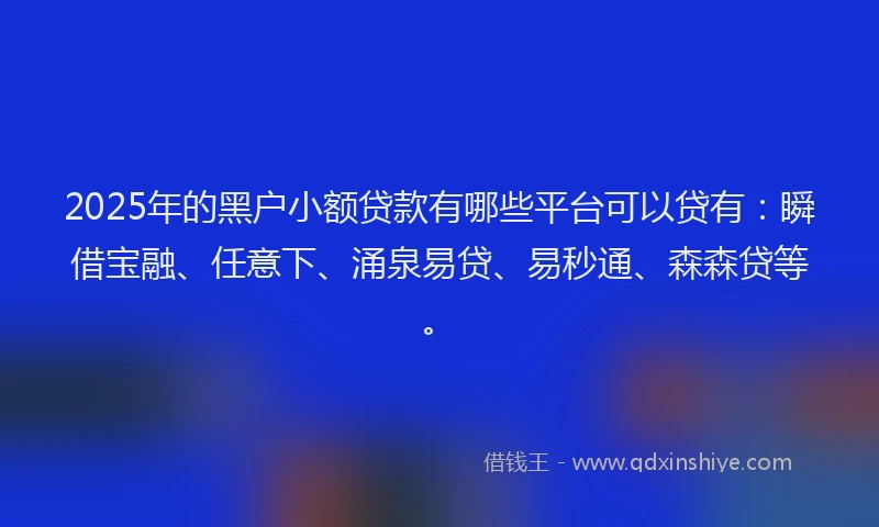 2025年的黑户小额贷款有哪些平台可以贷有：瞬借宝融、任意下、涌泉易贷、易秒通、森森贷等。