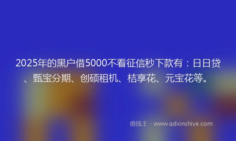 2025年的黑户借5000不看征信秒下款有：日日贷、甄宝分期、创硕租机、桔享花、元宝花等。
