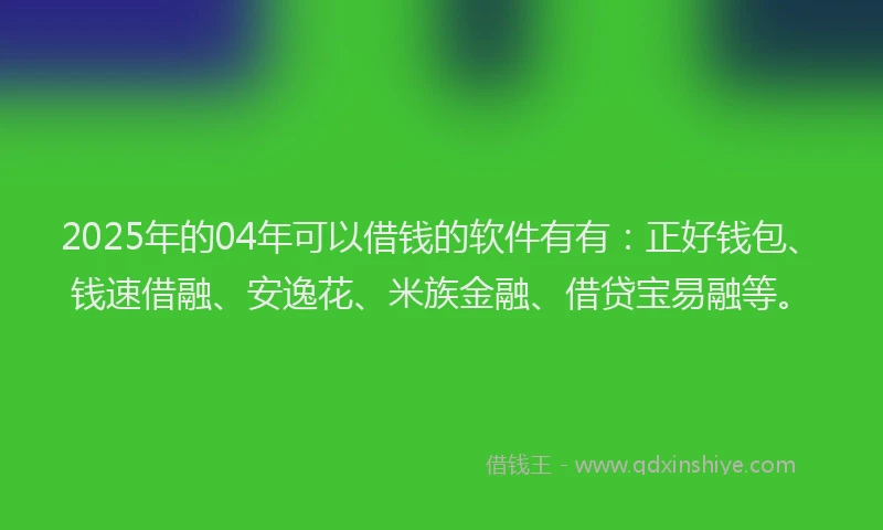 2025年的04年可以借钱的软件有有：正好钱包、钱速借融、安逸花、米族金融、借贷宝易融等。