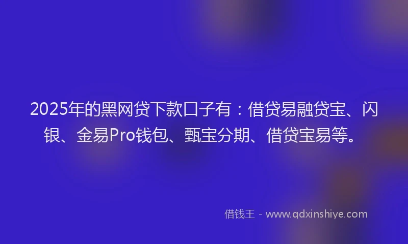 2025年的黑网贷下款口子有：借贷易融贷宝、闪银、金易Pro钱包、甄宝分期、借贷宝易等。