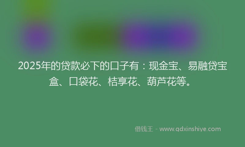 2025年的贷款必下的口子有：现金宝、易融贷宝盒、口袋花、桔享花、葫芦花等。