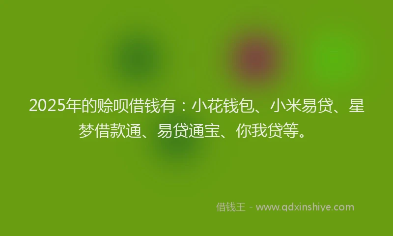 2025年的赊呗借钱有：小花钱包、小米易贷、星梦借款通、易贷通宝、你我贷等。