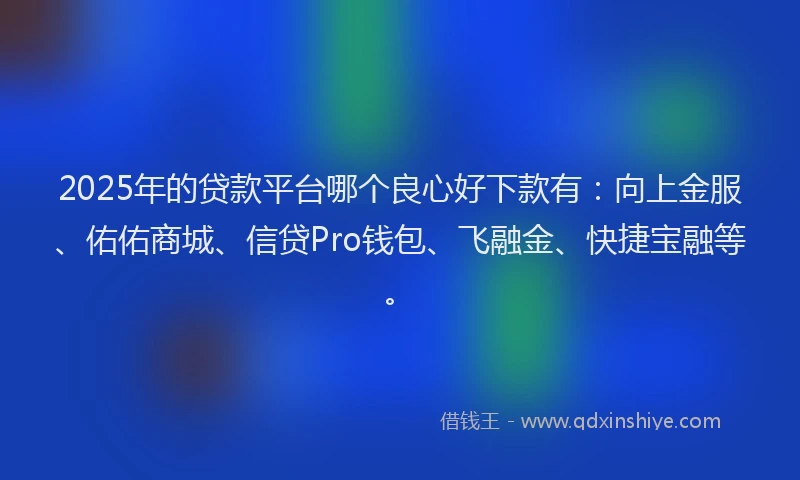 2025年的贷款平台哪个良心好下款有：向上金服、佑佑商城、信贷Pro钱包、飞融金、快捷宝融等。