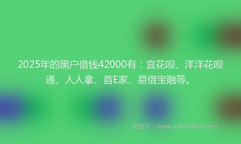 2025年的黑户借钱42000有：宜花呗、洋洋花呗通、人人拿、首E家、易借宝融等。