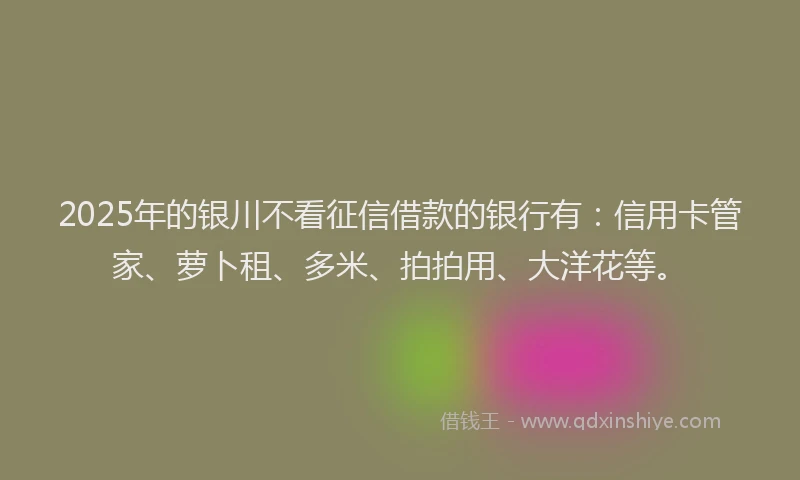 2025年的银川不看征信借款的银行有：信用卡管家、萝卜租、多米、拍拍用、大洋花等。