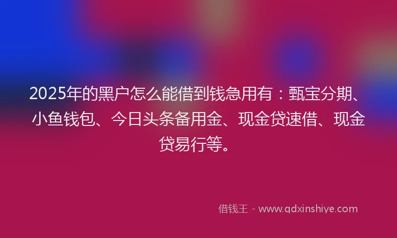 2025年的黑户怎么能借到钱急用有：甄宝分期、小鱼钱包、今日头条备用金、现金贷速借、现金贷易行等。