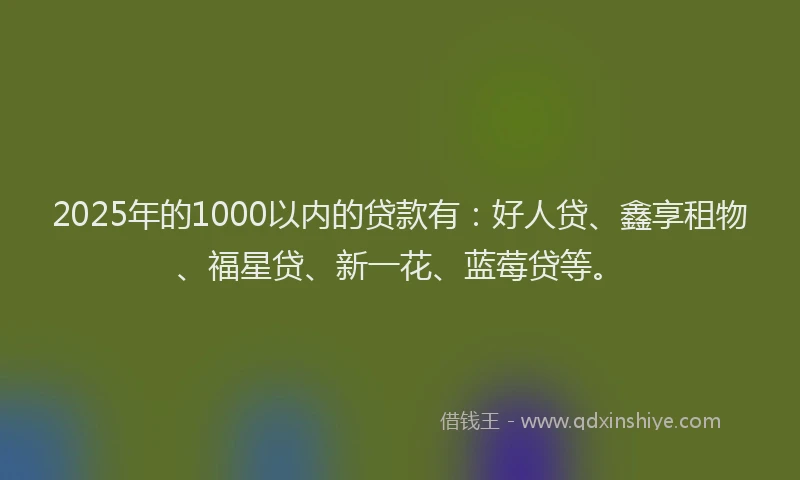 2025年的1000以内的贷款有：好人贷、鑫享租物、福星贷、新一花、蓝莓贷等。