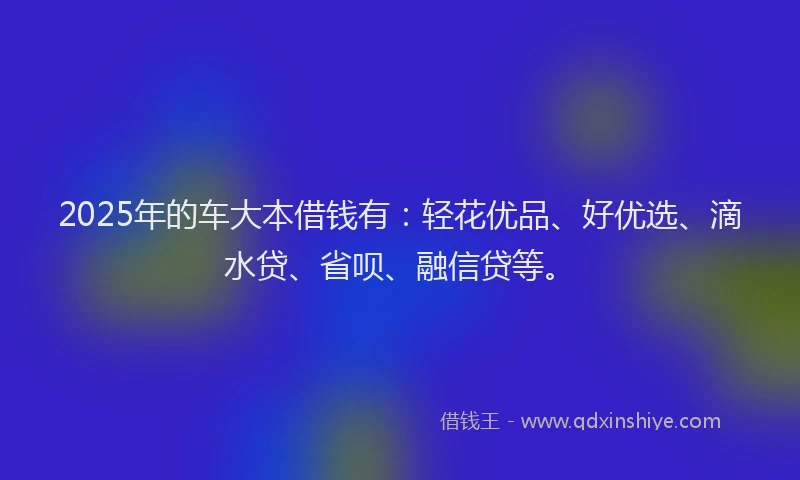2025年的车大本借钱有：轻花优品、好优选、滴水贷、省呗、融信贷等。