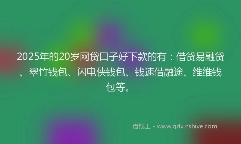 2025年的20岁网贷口子好下款的有：借贷易融贷、翠竹钱包、闪电侠钱包、钱速借融途、维维钱包等。