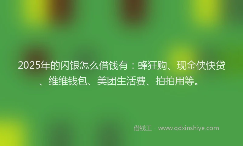 2025年的闪银怎么借钱有：蜂狂购、现金侠快贷、维维钱包、美团生活费、拍拍用等。