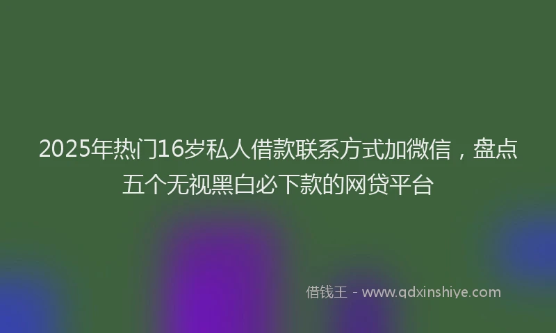 2025年热门16岁私人借款联系方式加微信，盘点五个无视黑白必下款的网贷平台