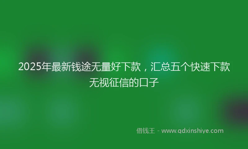2025年最新钱途无量好下款，汇总五个快速下款无视征信的口子