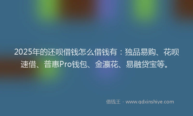2025年的还呗借钱怎么借钱有：独品易购、花呗速借、普惠Pro钱包、金瀛花、易融贷宝等。