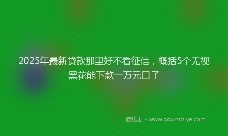 2025年最新贷款那里好不看征信，概括5个无视黑花能下款一万元口子