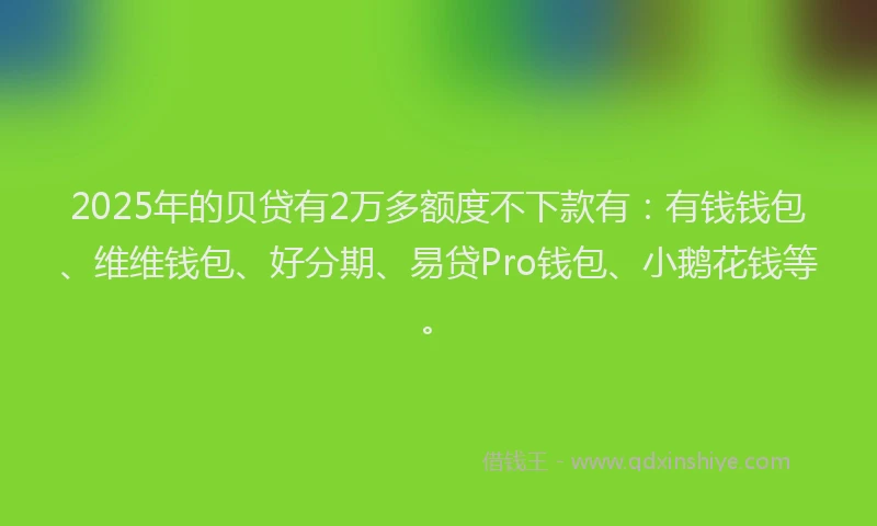 2025年的贝贷有2万多额度不下款有：有钱钱包、维维钱包、好分期、易贷Pro钱包、小鹅花钱等。