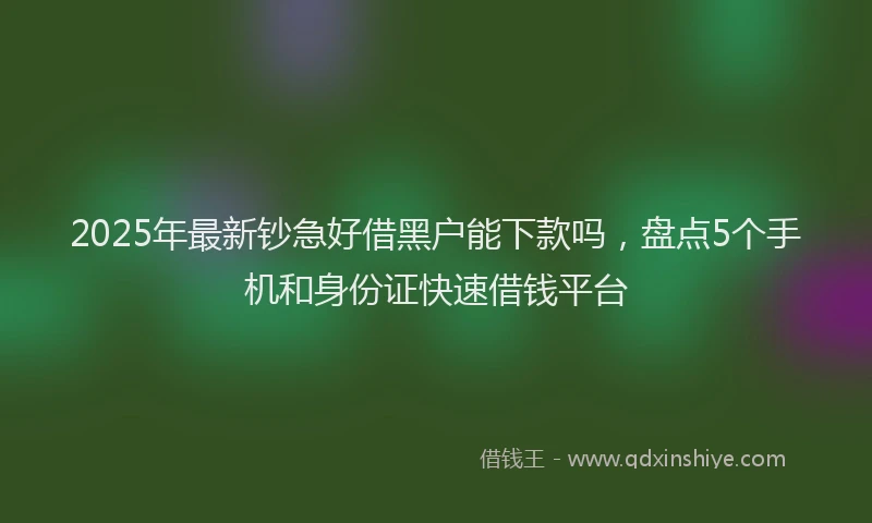 2025年最新钞急好借黑户能下款吗，盘点5个手机和身份证快速借钱平台